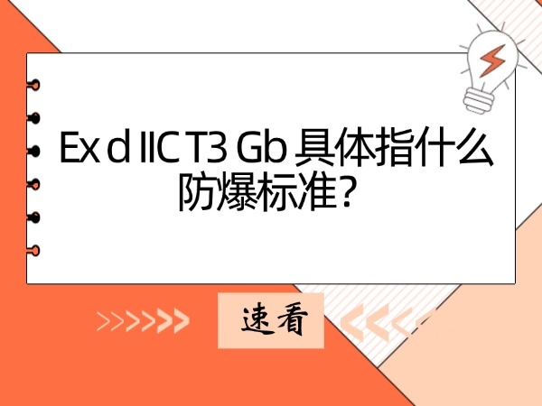 Ex d IIC T3 Gb 具体指什么防爆标准